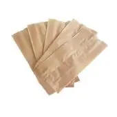 ECHO® natur - Beutel Größe 240 x 110 x 60 mm, 100 Stk